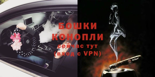 молекула духа Аркадак