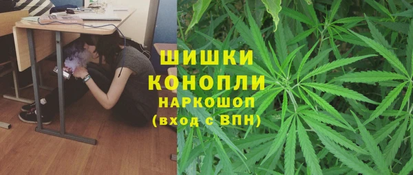 дмт Арсеньев