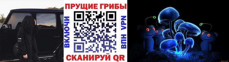 Галлюциногенные грибы GOLDEN TEACHER  Сельцо 